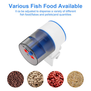 Automatic Fish Feeder